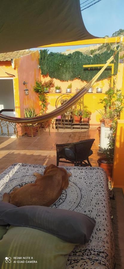 Апартаменты La Casita De Celia Аликанте Экстерьер фото